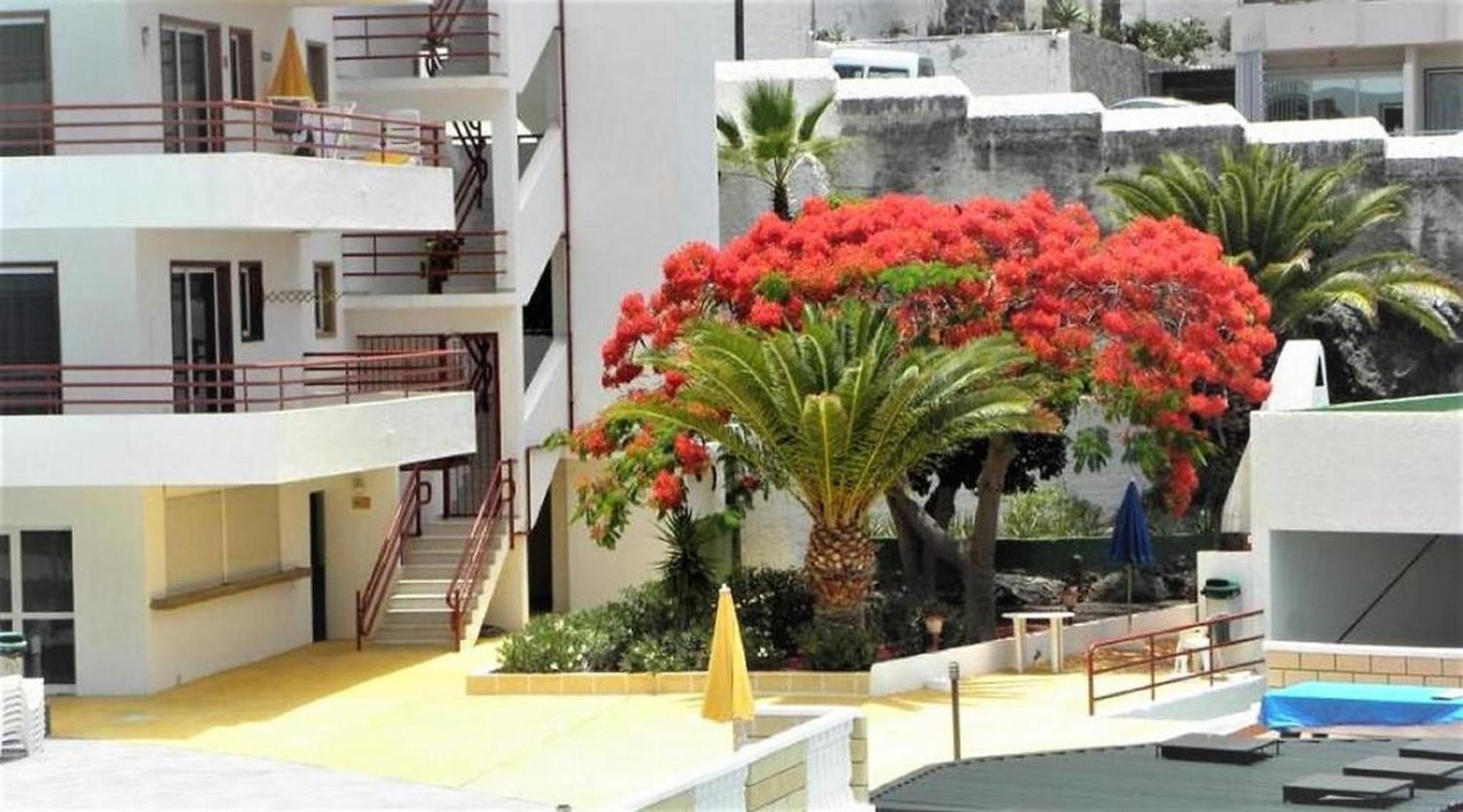 Apartamento Sol & Arena Puerto de Santiago  Εξωτερικό φωτογραφία